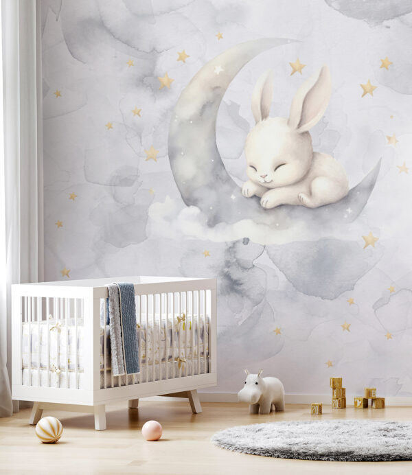 Un coniglio sulla luna Un coniglio sulla luna