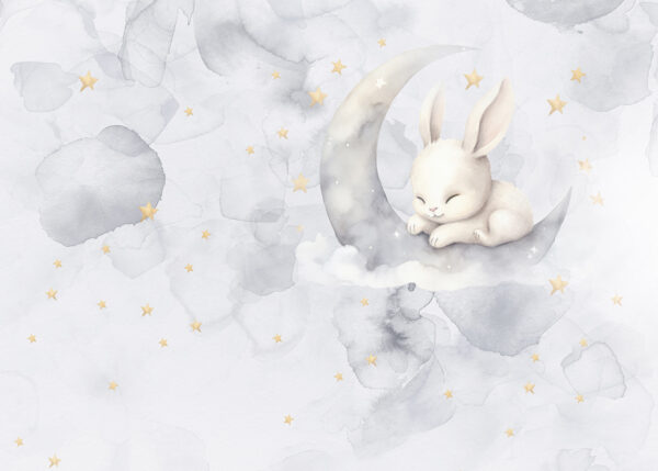 Un coniglio sulla luna Un coniglio sulla luna