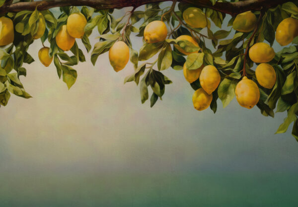 Un dipinto di limoni su un ramo d'albero Un dipinto di limoni su un ramo d'albero