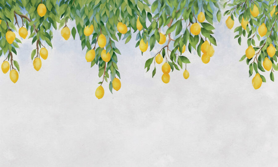 Carta da parati Limoni da un albero - immagine 3