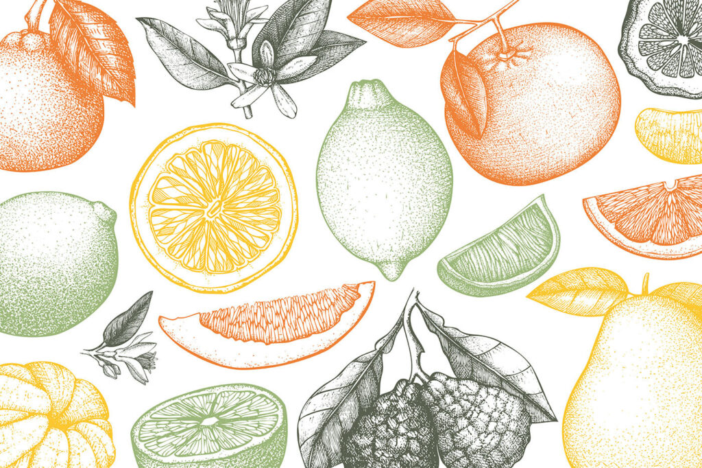 Un modello di frutti diversi Un modello di frutti diversi