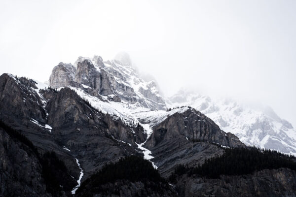 Una montagna innevata con alberi Una montagna innevata con alberi