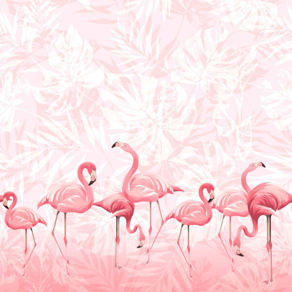 Un gruppo di fenicotteri rosa Un gruppo di fenicotteri rosa