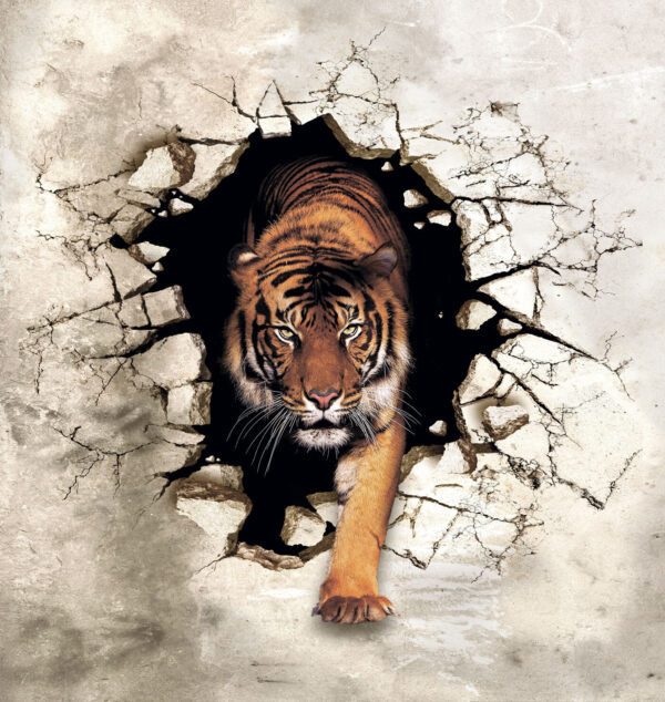 La tigre che esce da un buco nel muro La tigre che esce da un buco nel muro