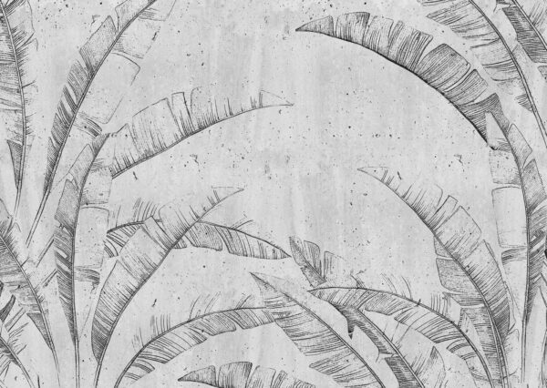 Disegno di una foglia Disegno di una foglia