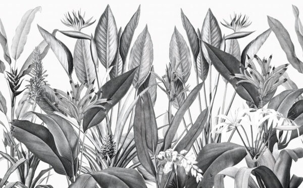 Fogliame tropicale in tonalità monocromatiche. Fogliame tropicale in tonalità monocromatiche.