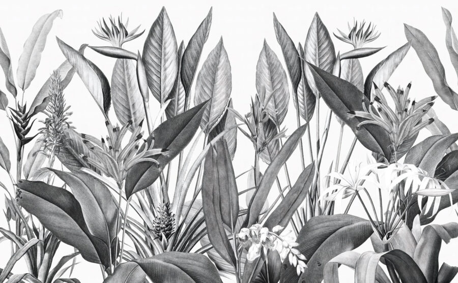 Fogliame tropicale in tonalità monocromatiche. Fogliame tropicale in tonalità monocromatiche.