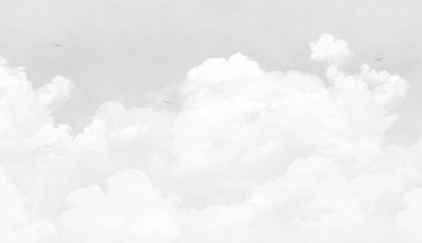 Una nuvola bianca nel cielo Una nuvola bianca nel cielo
