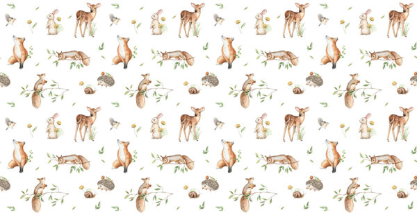 Un modello di animali e piante Un modello di animali e piante