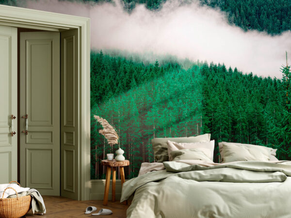 Una foresta di alberi con la nebbia Una foresta di alberi con la nebbia