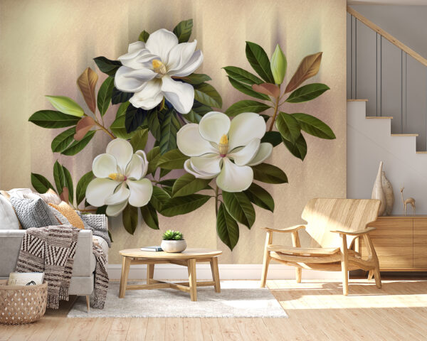 Splendide fioriture di magnolia in mostra Splendide fioriture di magnolia in mostra