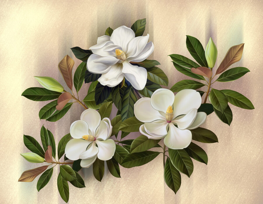 Splendide fioriture di magnolia in mostra