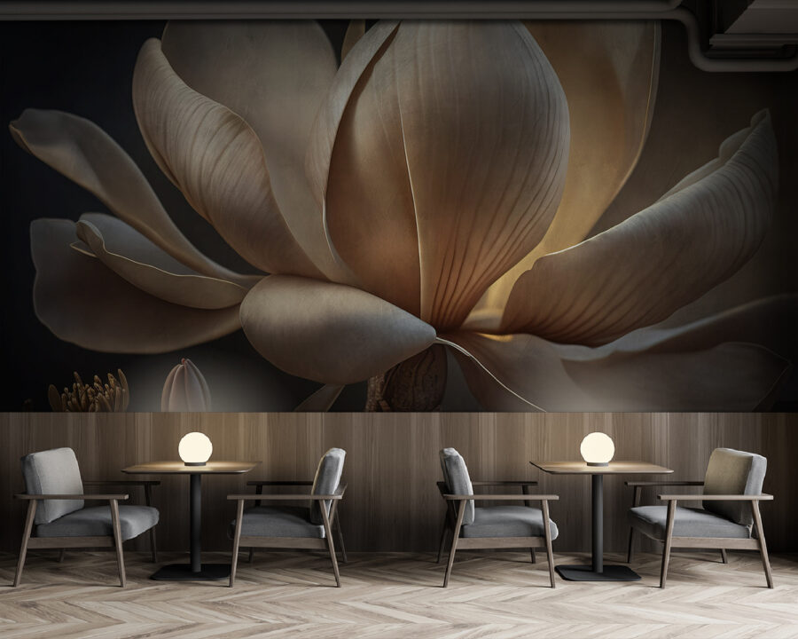 Carta da parati Graziosa magnolia in luce soffusa. - immagine 5