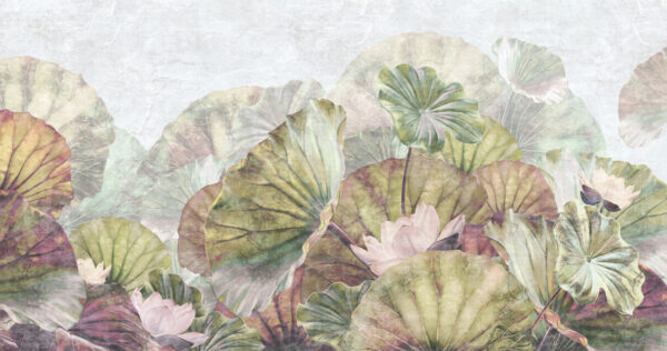 Delicate water lily leaves and blossoms