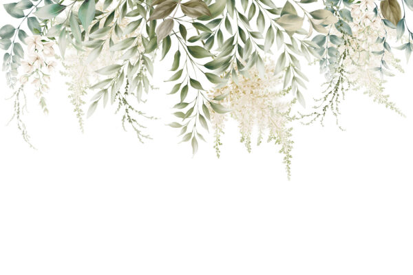 Verde delicato su sfondo bianco. Verde delicato su sfondo bianco.