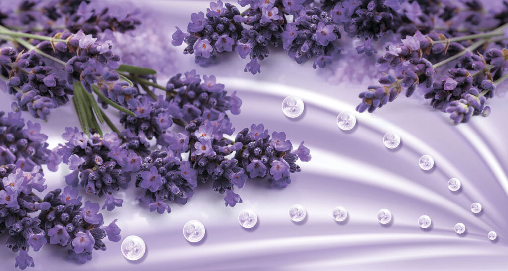Fiori di lavanda dalle morbide tonalità lavanda Fiori di lavanda dalle morbide tonalità lavanda