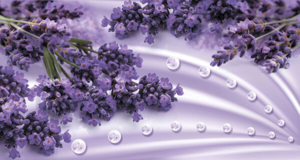 Fiori di lavanda dalle morbide tonalità lavanda Fiori di lavanda dalle morbide tonalità lavanda