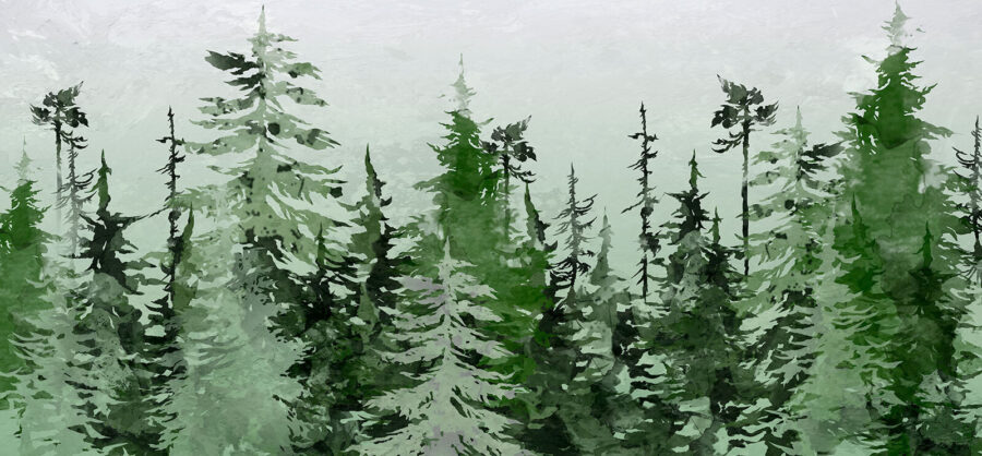 Gruppo di alberi in una foresta