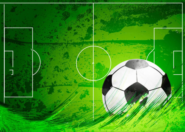 Pallone da calcio su un campo verde Pallone da calcio su un campo verde