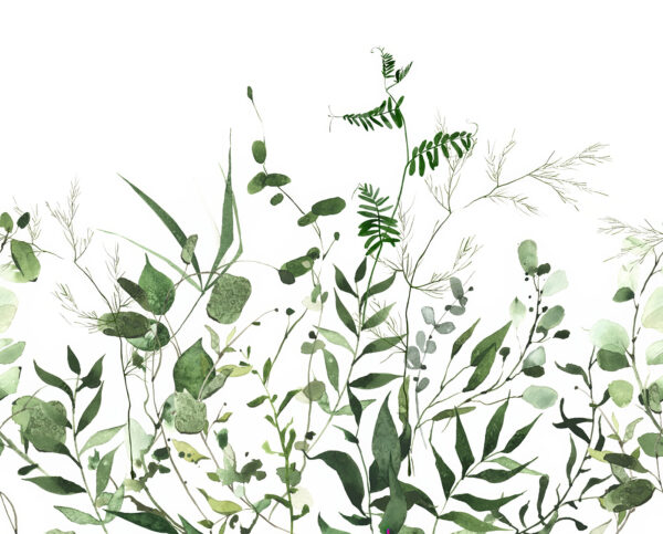 Lush greenery on a white background Lush greenery on a white background