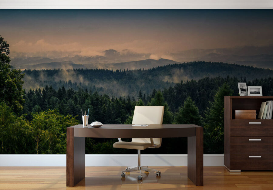 Foresta con nebbia e nuvole Foresta con nebbia e nuvole