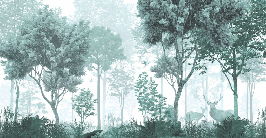 Una foresta con alberi e piante Una foresta con alberi e piante