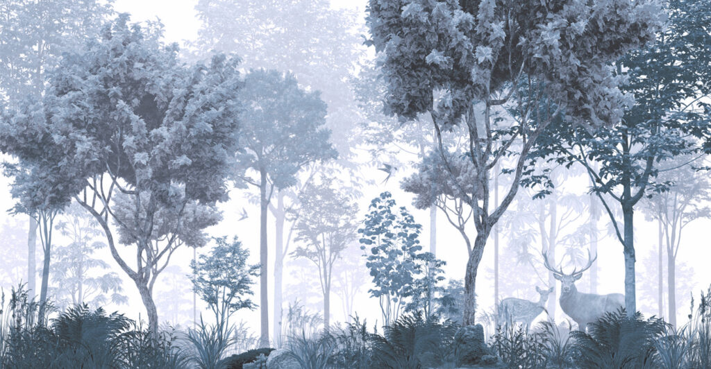Una foresta con alberi e piante Una foresta con alberi e piante