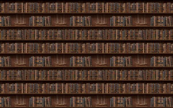 Parete di libri con barche Parete di libri con barche