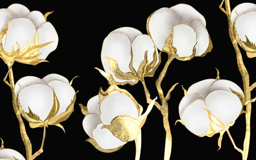 Fiori di cotone su sfondo scuro