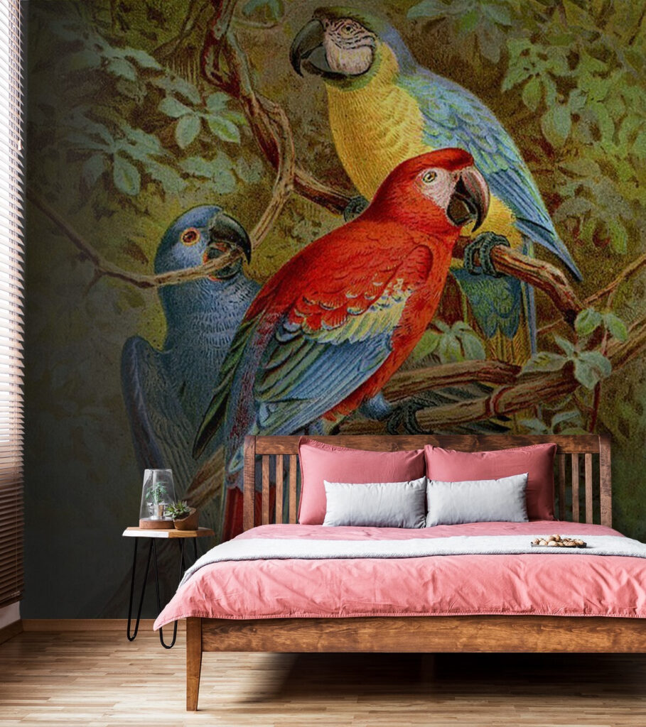 u71620pib1m 909x1024 - Gruppo di uccelli colorati su un ramo d'albero - tegory