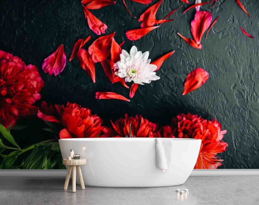 Gruppo di fiori rossi con petali su una superficie nera