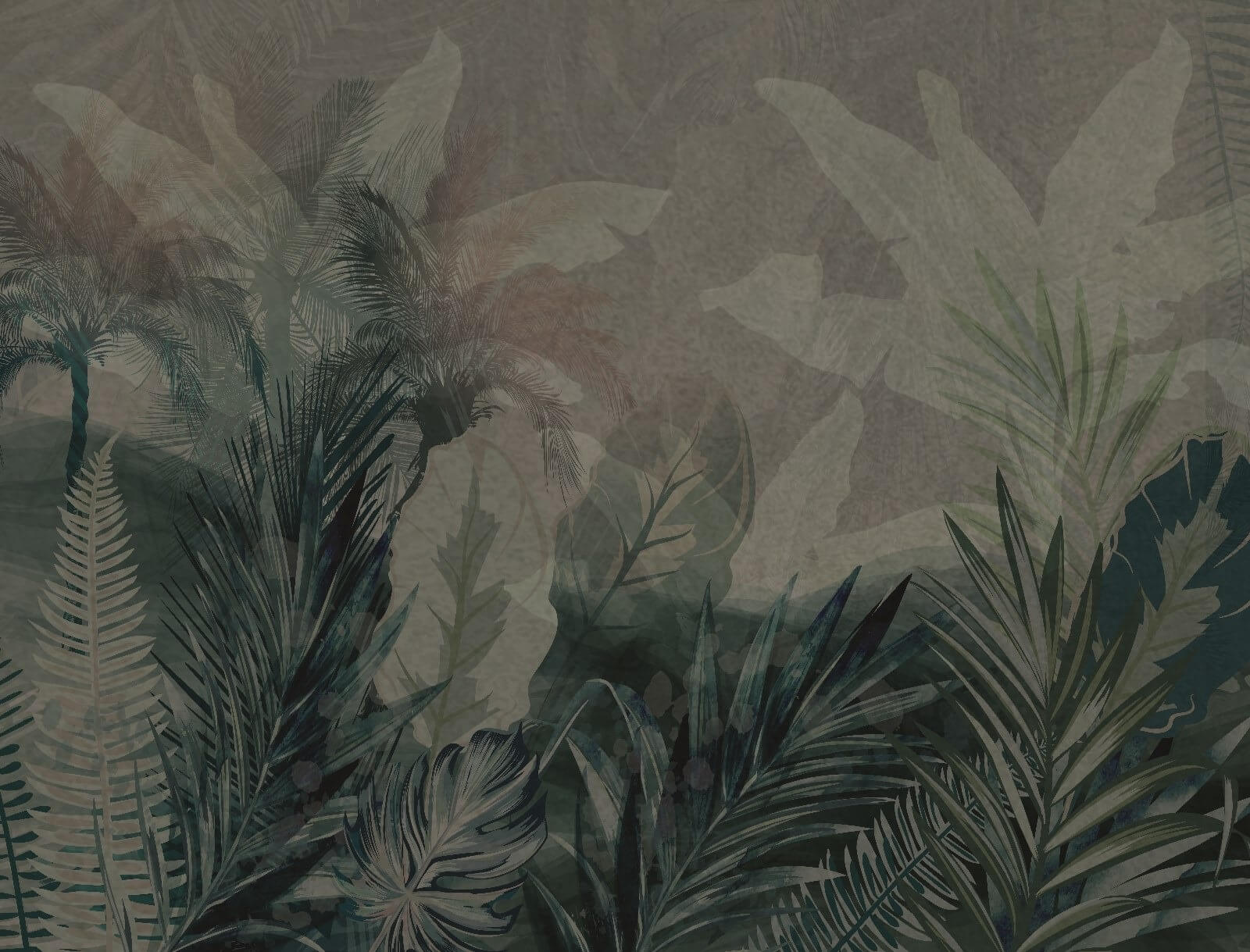 u71423p - Gruppo di foglie su sfondo grigio - tegory