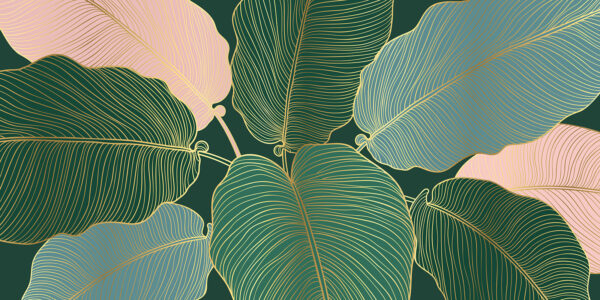 Foglie tropicali dalle linee eleganti. Foglie tropicali dalle linee eleganti.