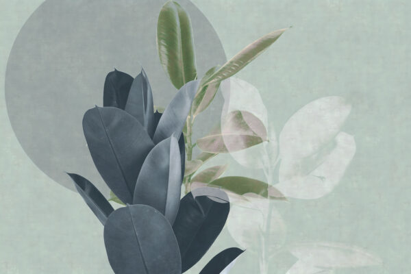 Elegant leaves on a pastel backdrop Elegant leaves on a pastel backdrop