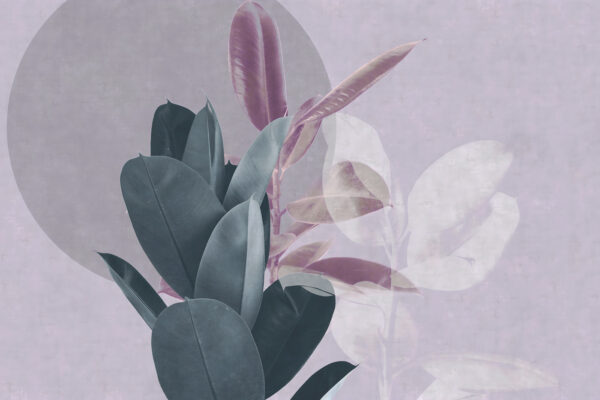 Tranquil layers of botanical beauty Tranquil layers of botanical beauty