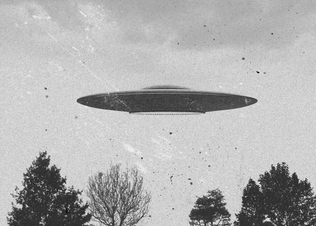 Ufo in volo sugli alberi Ufo in volo sugli alberi