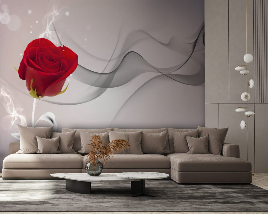 Rosa rossa con fumo