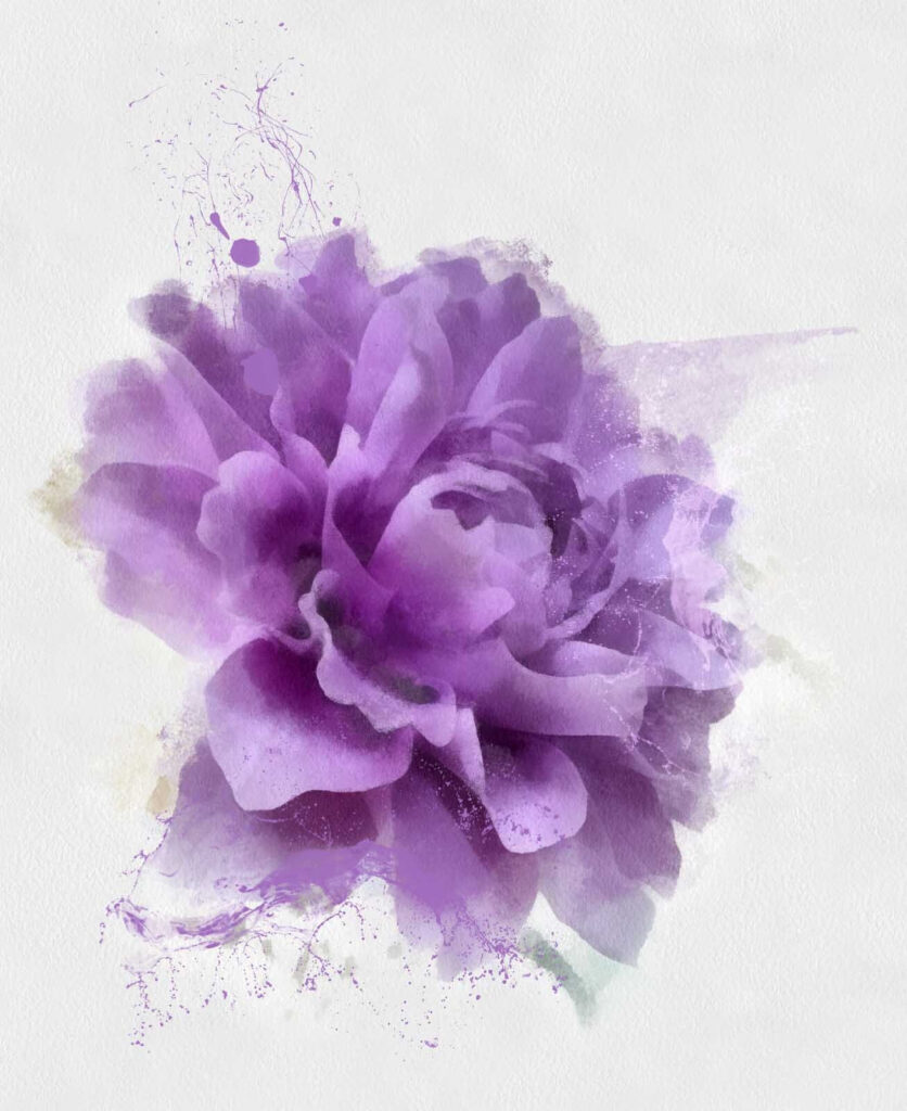 Fiore viola con schizzi di vernice Fiore viola con schizzi di vernice