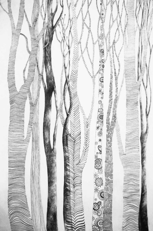 Disegno di alberi con linee Disegno di alberi con linee