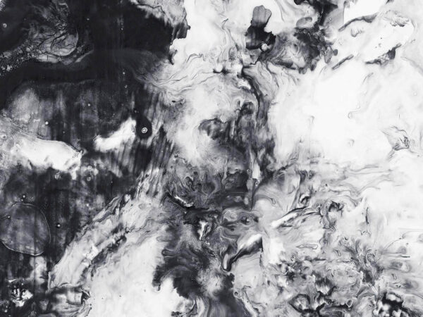 Pittura in bianco e nero Pittura in bianco e nero