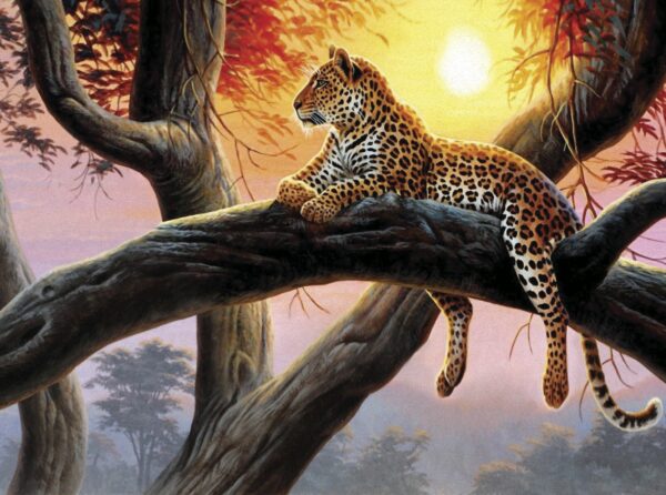 Leopardo sdraiato sul ramo di un albero Leopardo sdraiato sul ramo di un albero