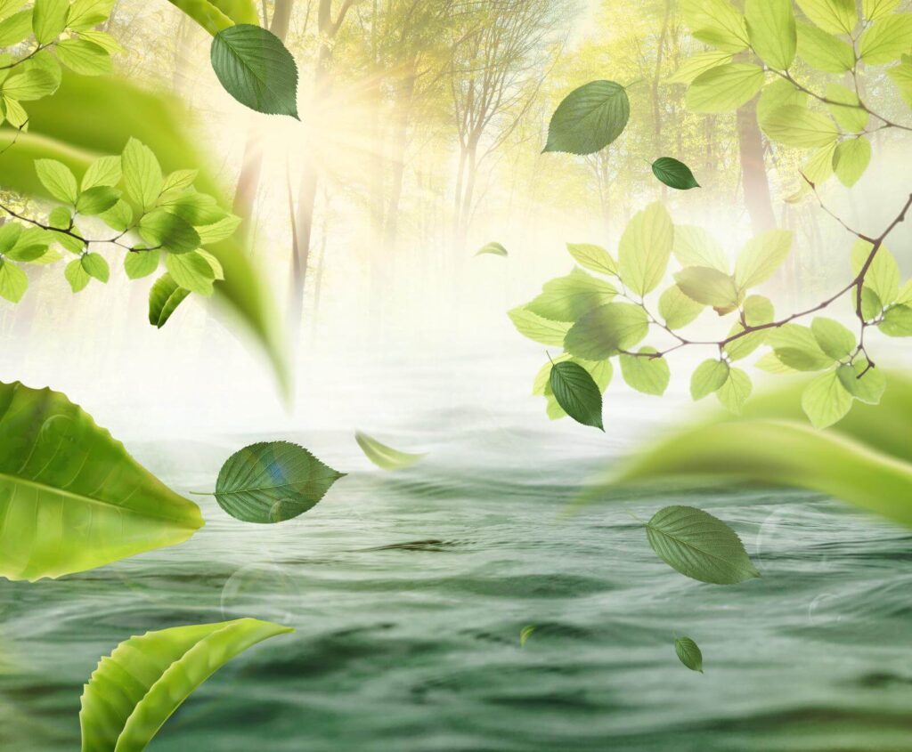 Acqua con foglie che volano nell'aria Acqua con foglie che volano nell'aria