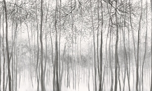 Gruppo di alberi in una foresta innevata Gruppo di alberi in una foresta innevata