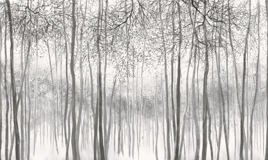 Gruppo di alberi in una foresta innevata