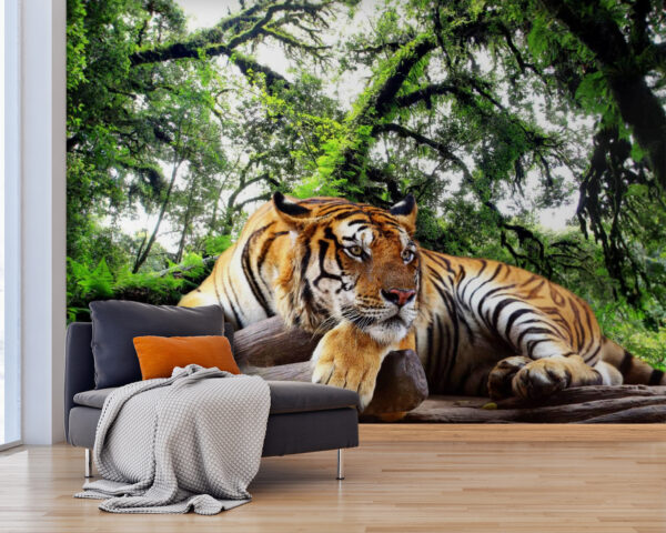 Tigre sdraiata su un tronco Tigre sdraiata su un tronco