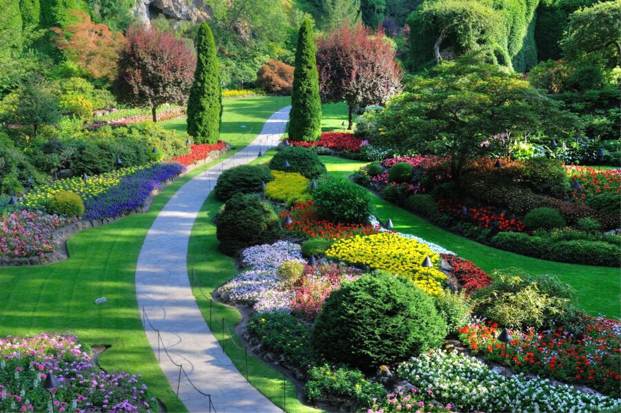 Giardino con molti fiori e alberi