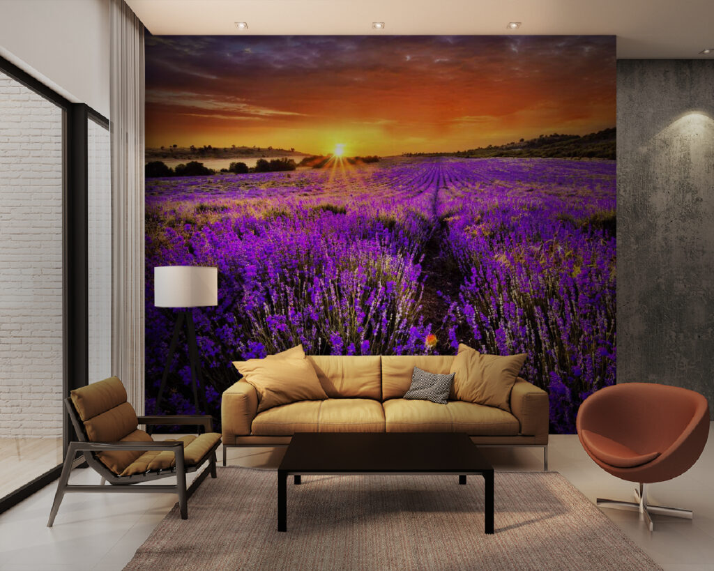 Field of purple flowers Field of purple flowers