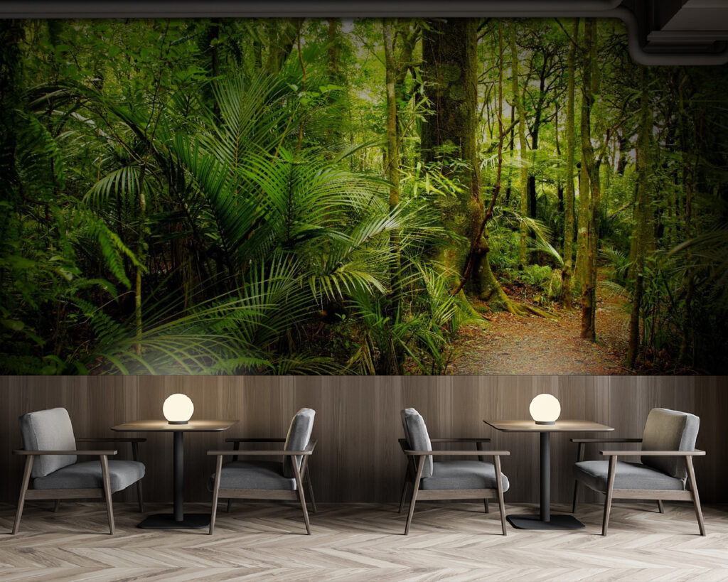 u57297piz137m 1024x819 - Sentiero attraverso la foresta - tegory