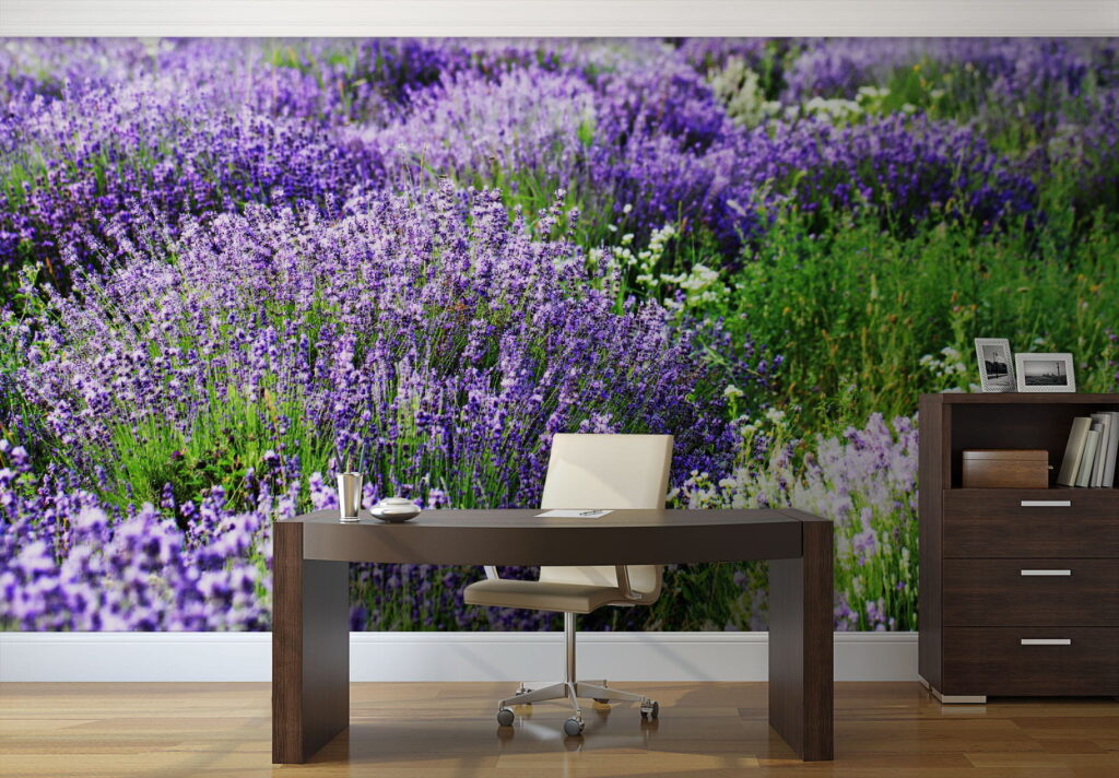 u57293piw1 1024x712 - Campo di fiori viola - tegory