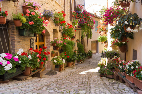 Strada con fiori ai lati Strada con fiori ai lati